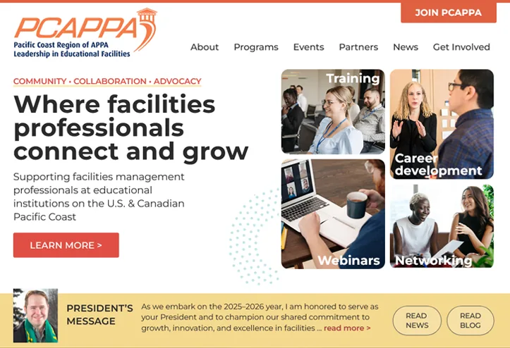 Web design portfolio: professional association