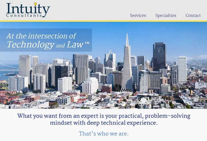 Web design portfolio: tech consultant website